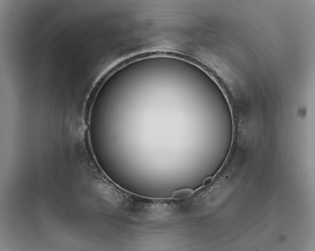 X0000097981316200803241250