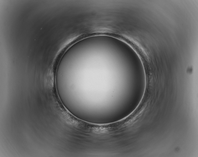 X0000097981317200803241250