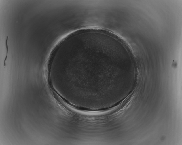 X0000097981319200803241250