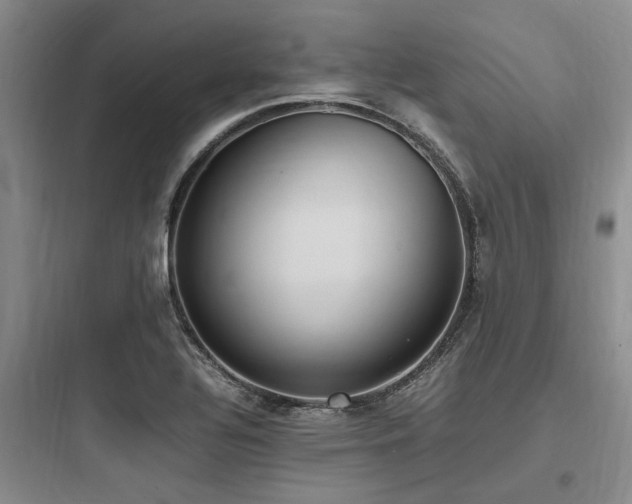 X0000097981320200803241250