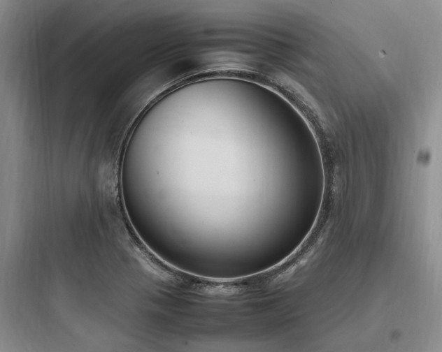 X0000097981321200803241250