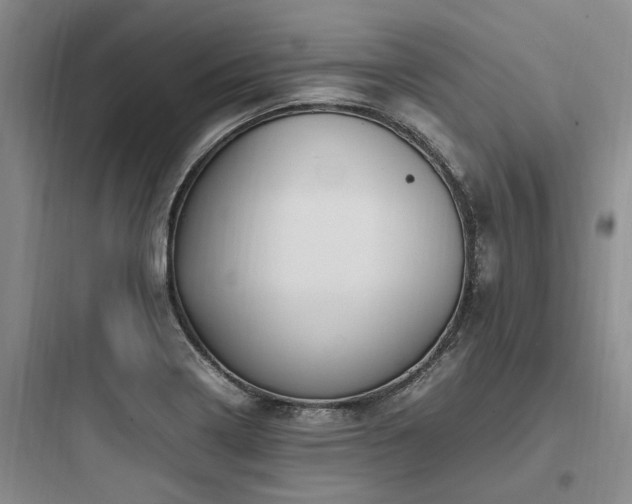 X0000097981322200803241250