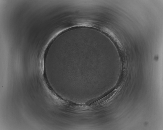 X0000097981323200803241250