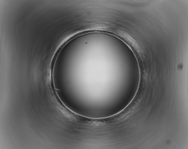 X0000097981324200803241250
