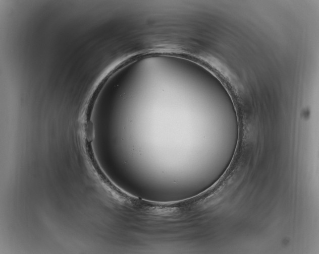 X0000097981325200803241250