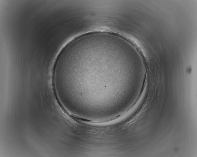 X0000097981326200803241250