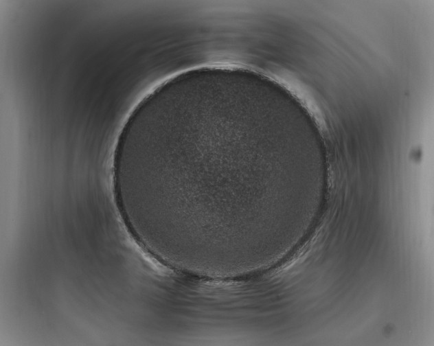 X0000097981327200803241250