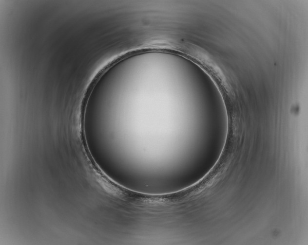 X0000097981328200803241250