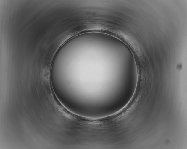 X0000097981329200803241250