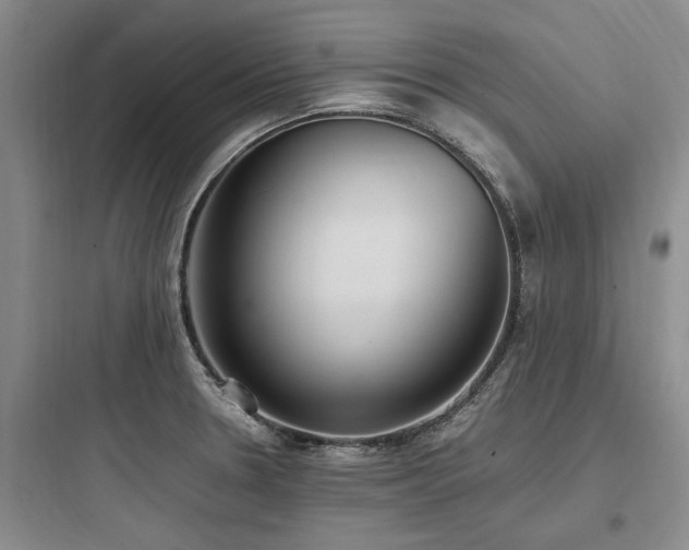 X0000097981330200803241250