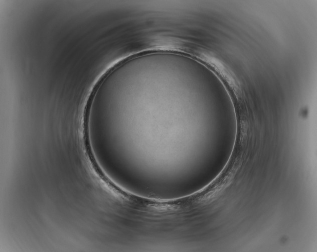 X0000097981331200803241250
