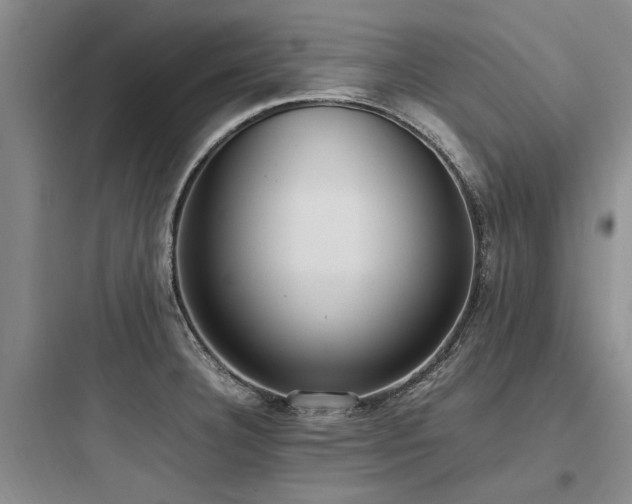 X0000097981332200803241250