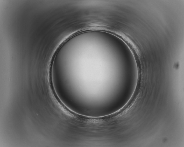 X0000097981333200803241250