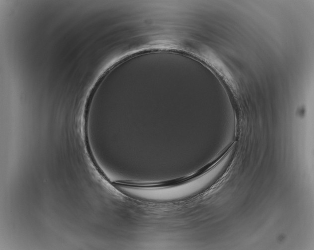 X0000097981334200803241250
