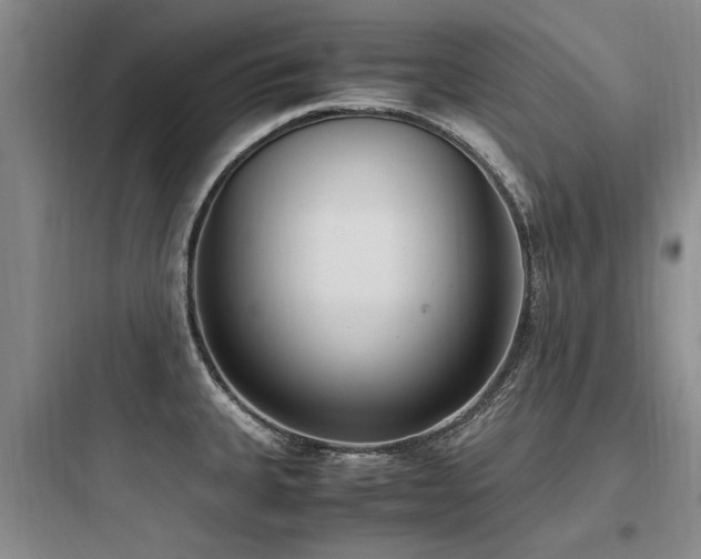 X0000097981335200803241250