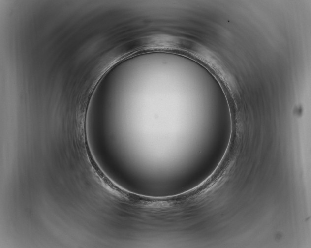 X0000097981337200803241250