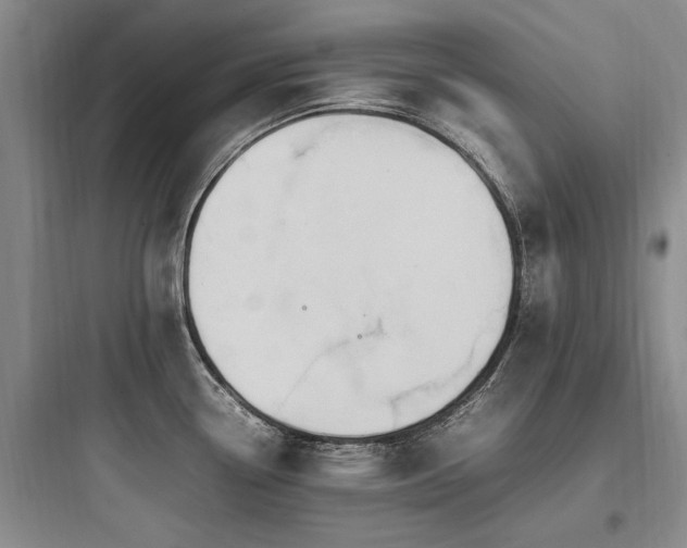 X0000097981338200803241250