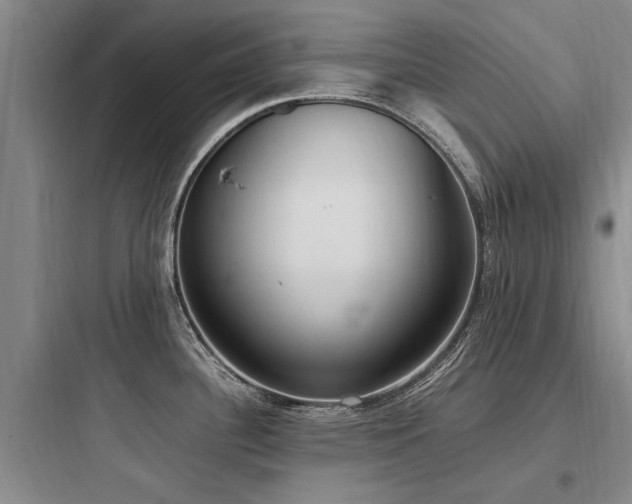 X0000097981340200803241250