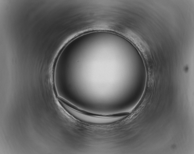 X0000097981342200803241250