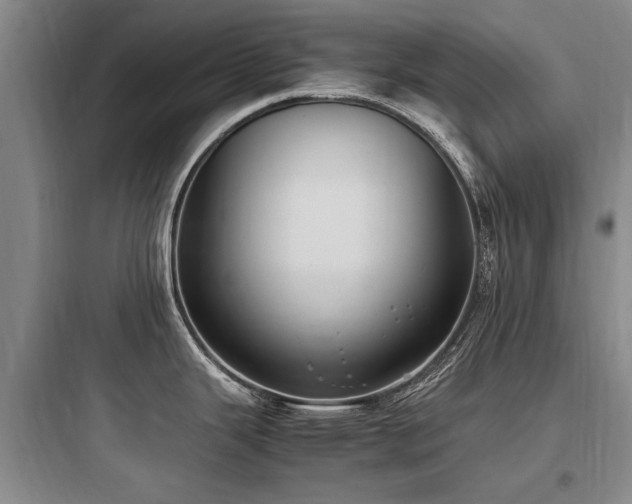 X0000097981343200803241250