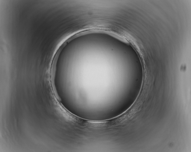 X0000097981344200803241250