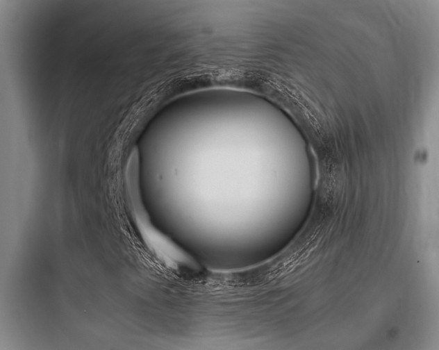 X0000097981345200803241249