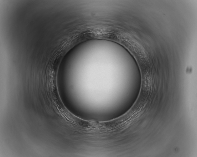 X0000097981346200803241249