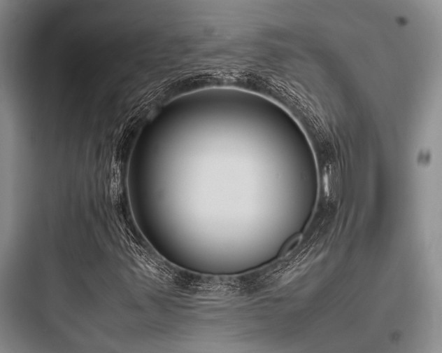 X0000097981347200803241249