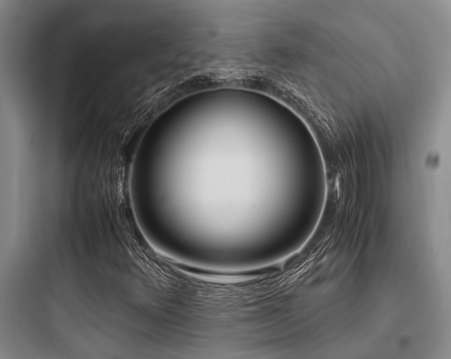 X0000097981348200803241249