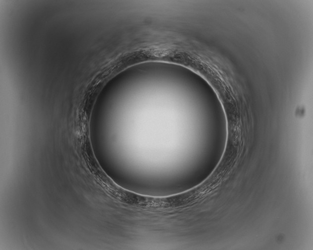 X0000097981349200803241249