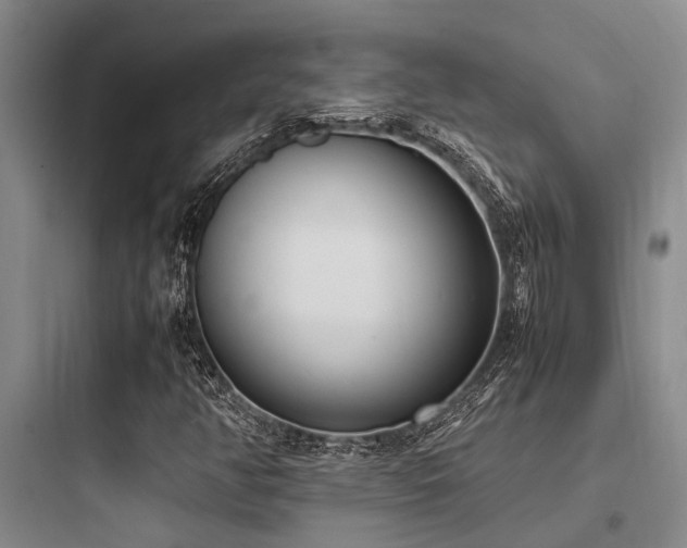 X0000097981350200803241249