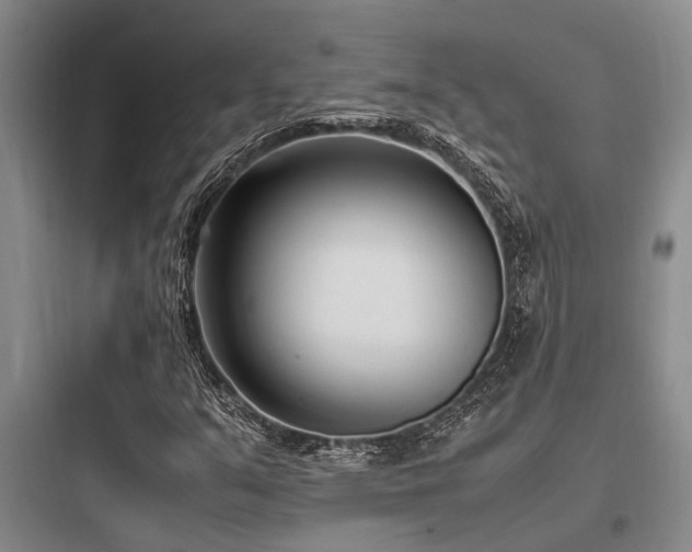 X0000097981351200803241249