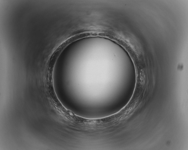 X0000097981352200803241249