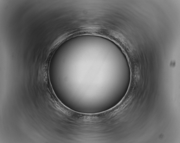 X0000097981354200803241249