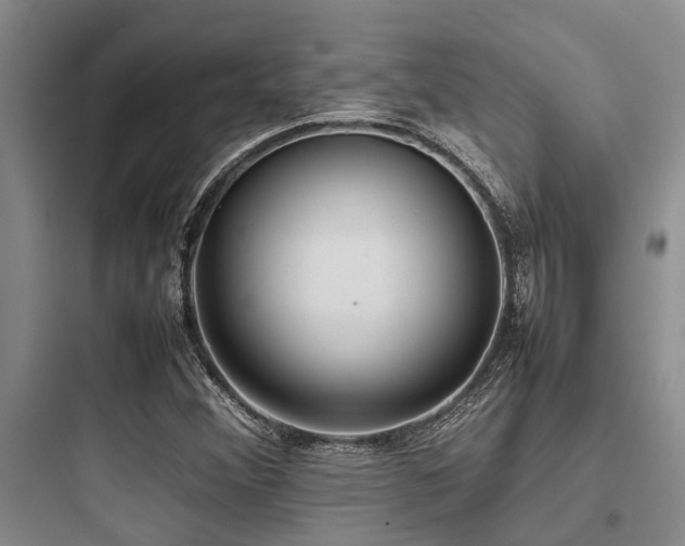 X0000097981356200803241249