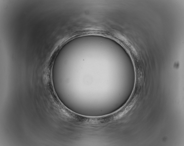 X0000097981357200803241249
