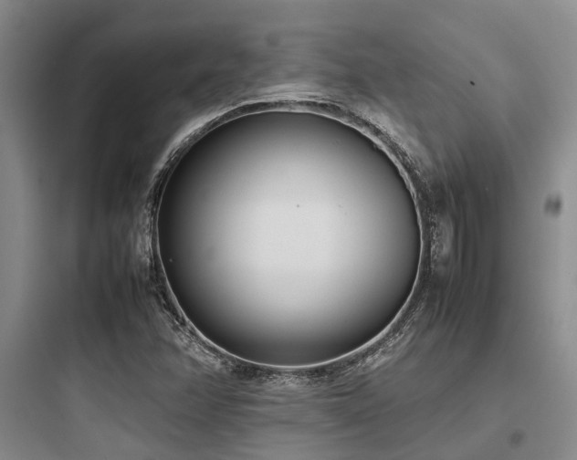 X0000097981358200803241249