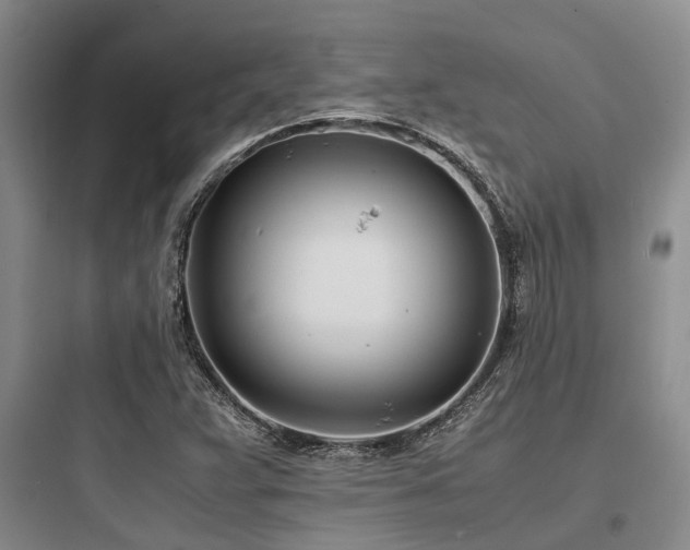 X0000097981359200803241249