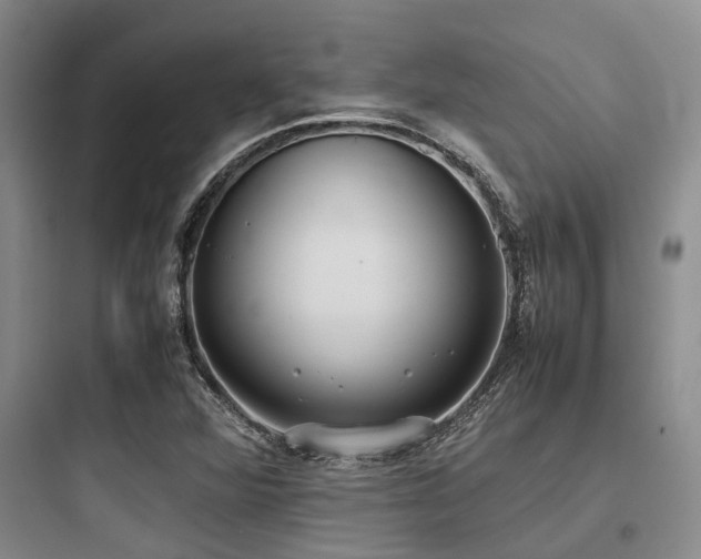X0000097981360200803241249
