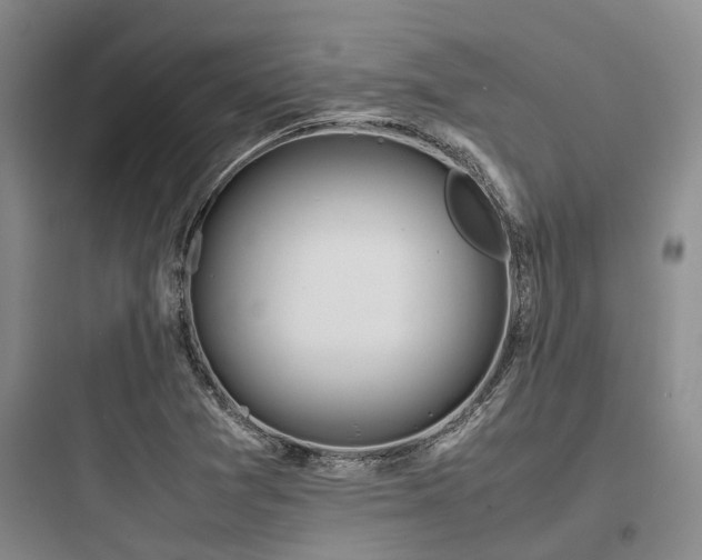 X0000097981361200803241249