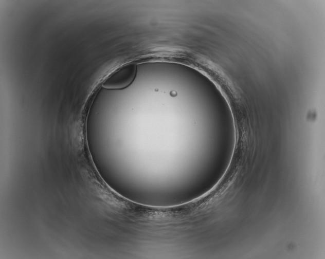 X0000097981362200803241249