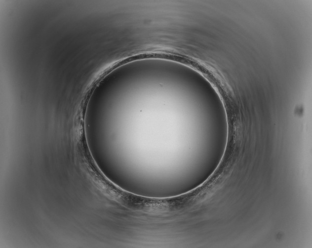 X0000097981363200803241249