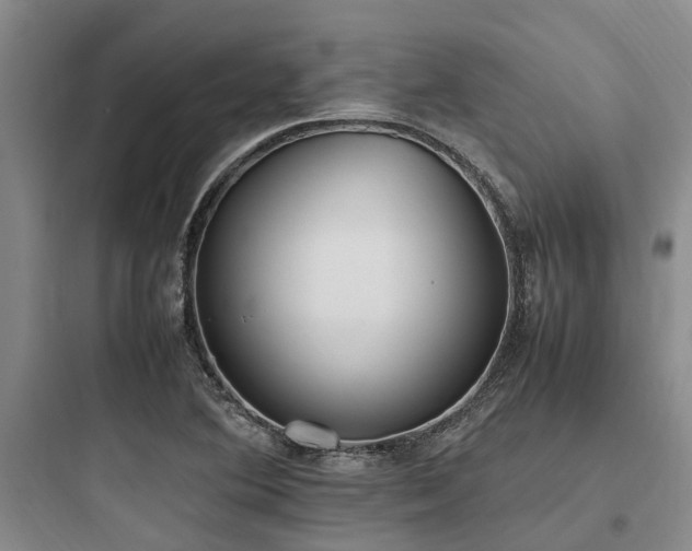 X0000097981364200803241249