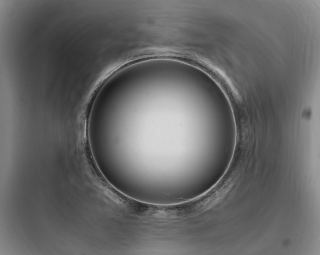 X0000097981365200803241249