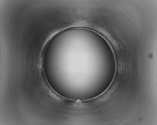 X0000097981366200803241249