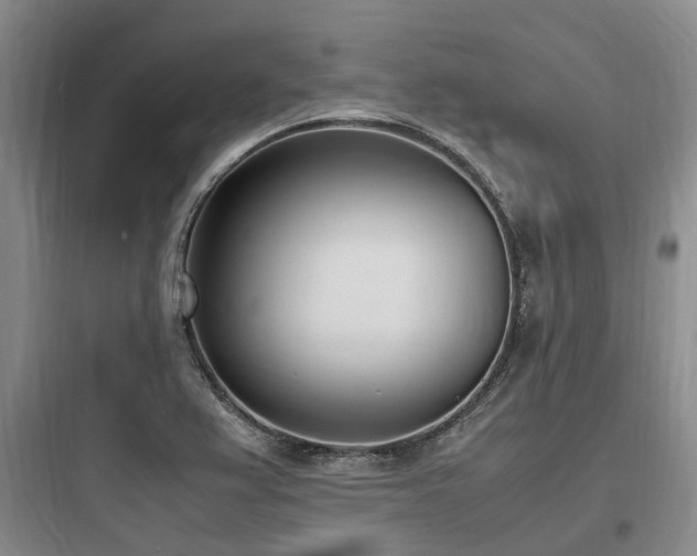 X0000097981367200803241249