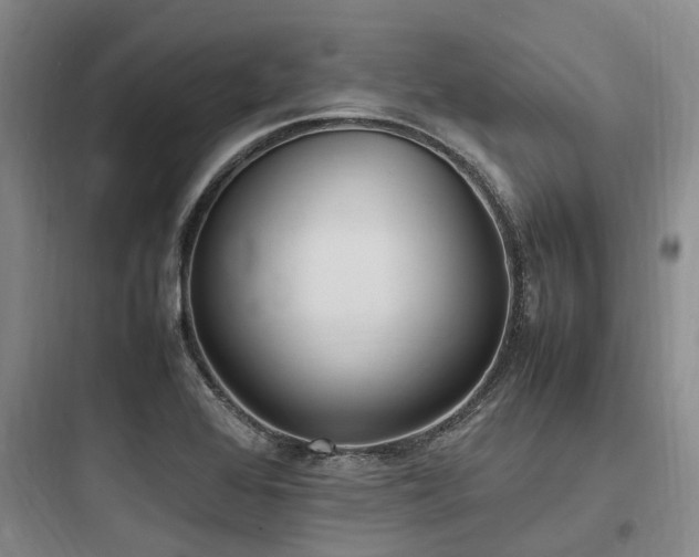 X0000097981368200803241249