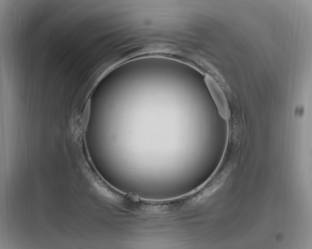 X0000097981369200803241249