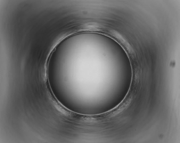 X0000097981370200803241249