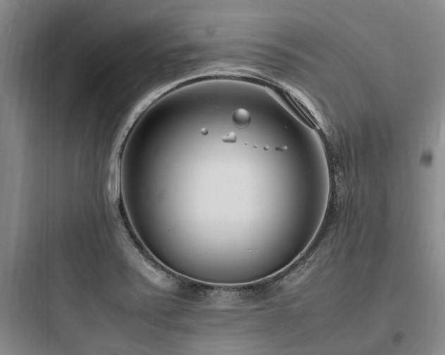 X0000097981371200803241249